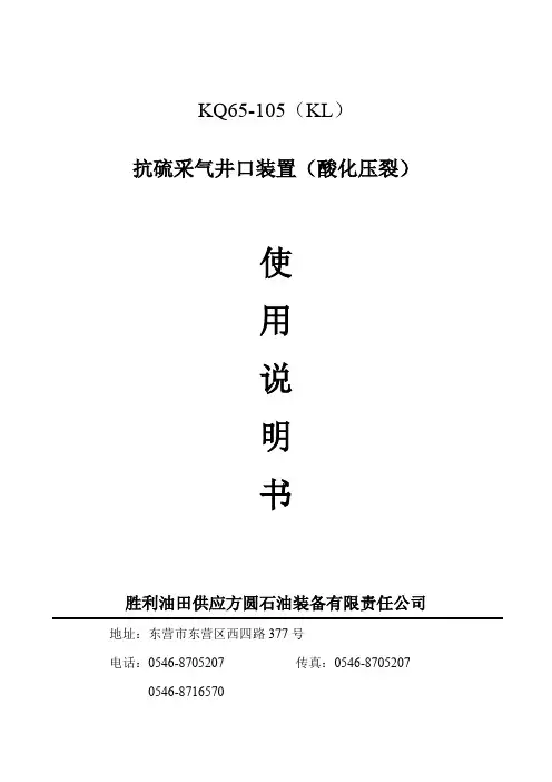 KQKL抗硫采气井口装置