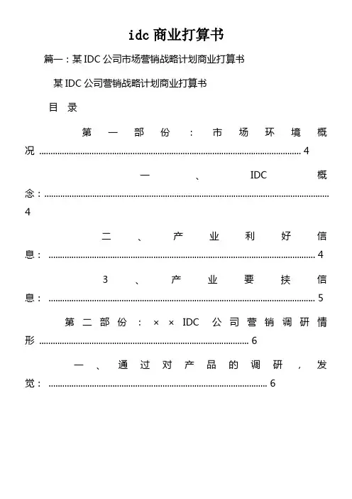 idc商业打算书