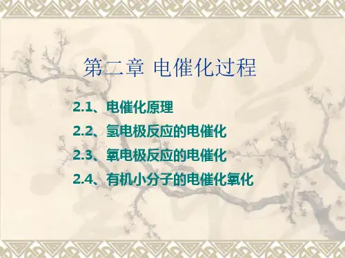 第二章电催化案例