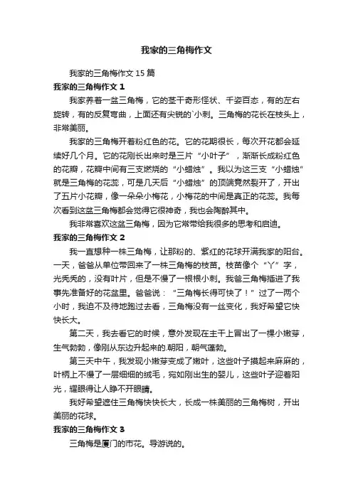 我家的三角梅作文15篇