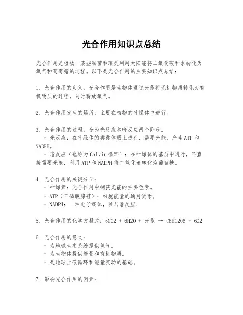 光合作用知识点总结