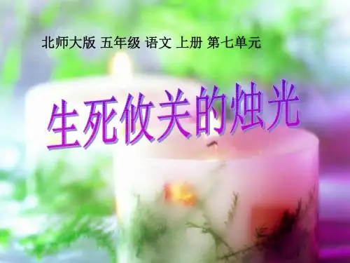 北师大版五年级语文上册《生死攸关的烛光》精品PPT精品课件