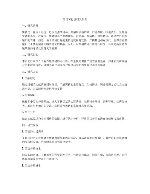黑猪可行性研究报告