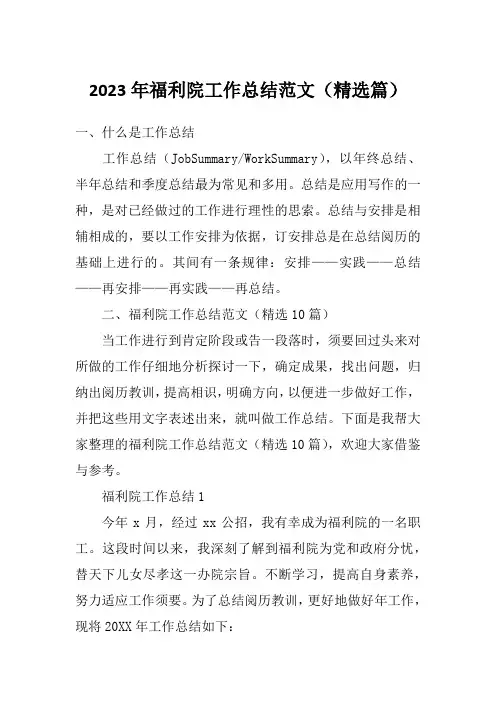 2023年福利院工作总结范文(精选篇)