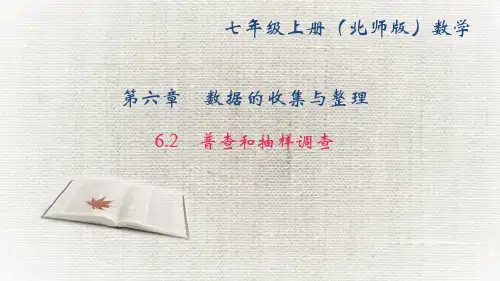 北师版七年级数学上册作业课件(BS) 第六章 数据的收集与整理 普查和抽样调查