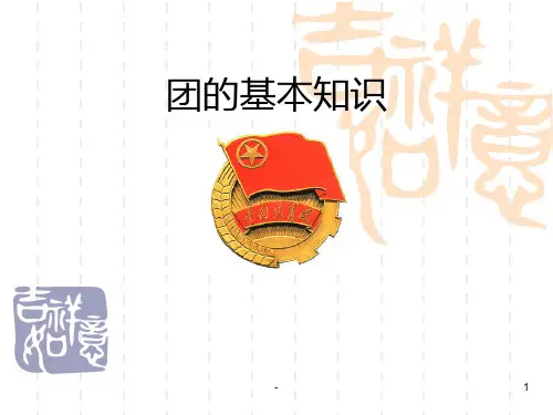 团的基本知识介绍PPT课件