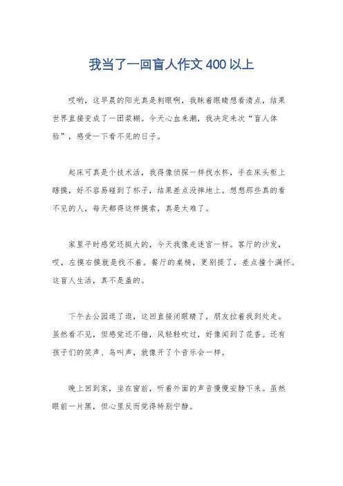 我当了一回盲人作文400以上