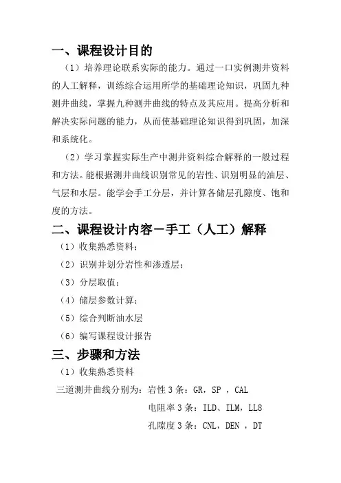 地球物理测井报告