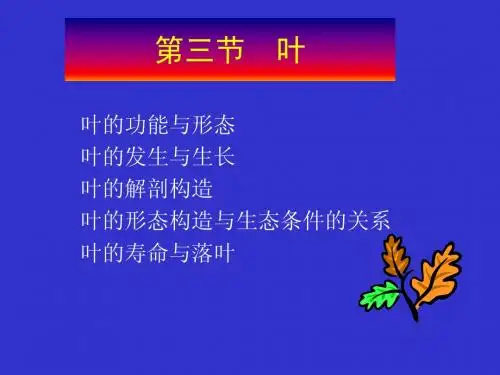 植物学7-叶