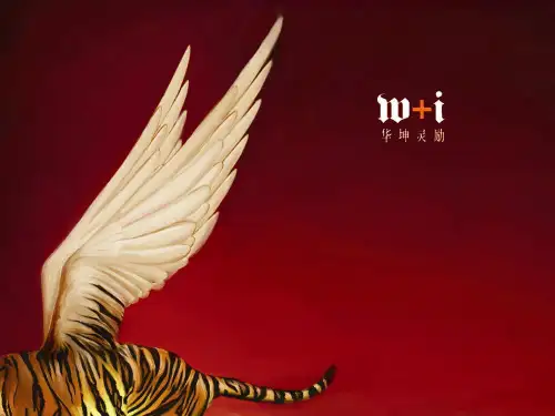 地产企业品牌万科品牌推广方案PPT精品文档64页