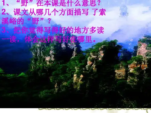 索溪峪的野精彩课件PPT