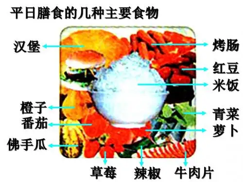 高中生物人教版精品课件系列必修1第2章第4节细胞中的糖类和脂质