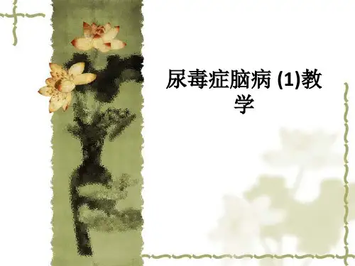 尿毒症脑病 (1)ppt课件