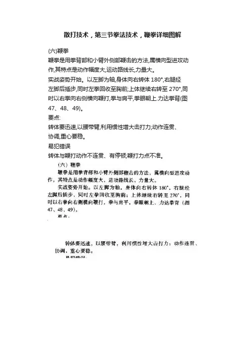 散打技术，第三节拳法技术，鞭拳详细图解