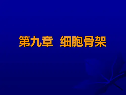 9细胞骨架PPT课件