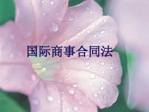 国际商法教学 3国际商事合同法