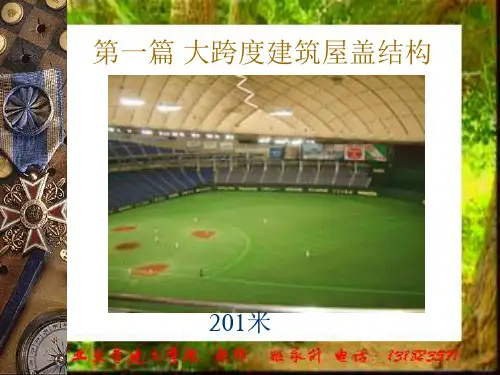 大跨度建筑屋盖结构1