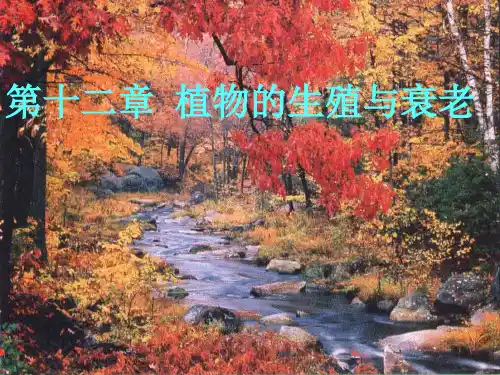植物生理学植物的生殖和衰老 ppt课件