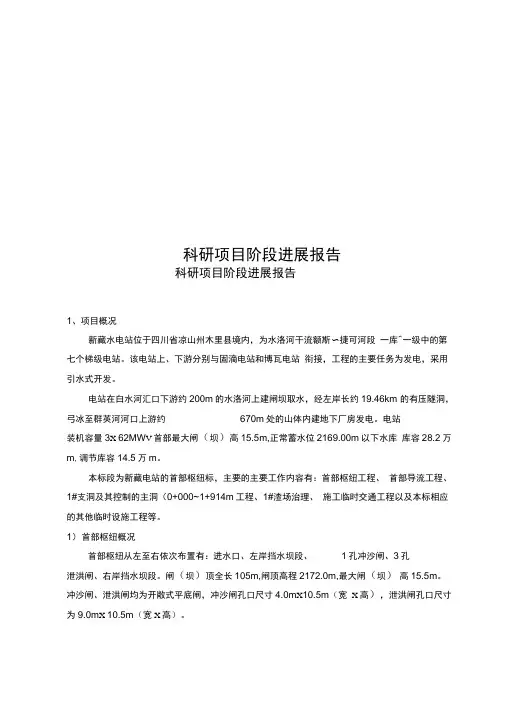 科研项目阶段进展报告