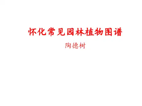 怀化常见园林植物图谱