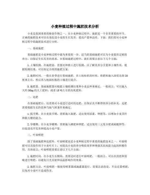 小麦种植过程中施肥技术分析