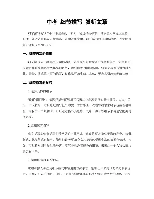 中考 细节描写 赏析文章