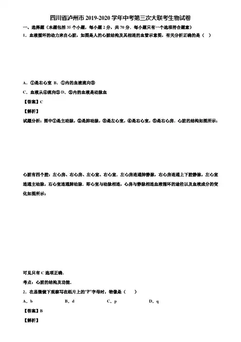 四川省泸州市2019-2020学年中考第三次大联考生物试卷含解析