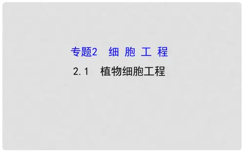 高三生物第一轮复习 专题2 1植物细胞工程课件 新人教版选修3