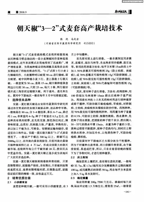朝天椒“3—2”式麦套高产栽培技术