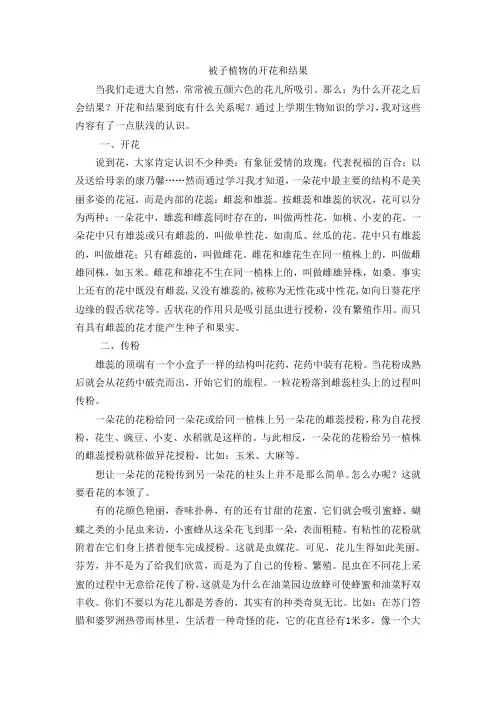 被子植物的开花和结果