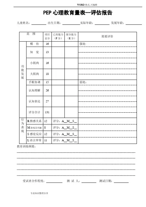 PEP_3心理教育量表__评估报告书模板