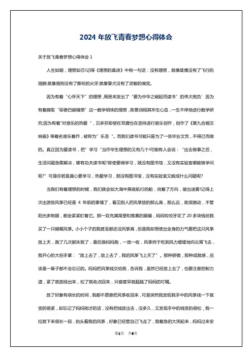 2024年放飞青春梦想心得体会