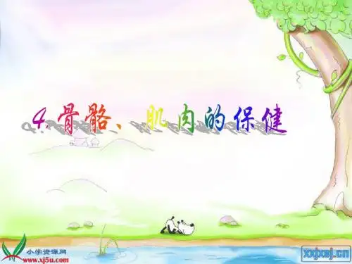 苏教版小学科学四年级PPT《骨骼肌肉的保健》