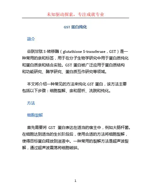 gst蛋白纯化