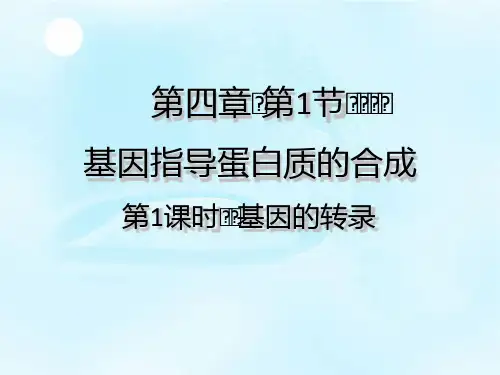 人教版生物必修二(新教材)课件：4-1基因指导蛋白质的合成