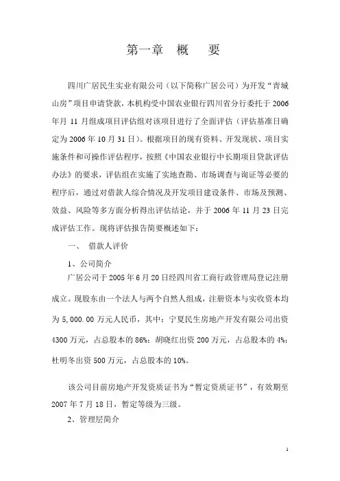 贷款项目评估报告----模板