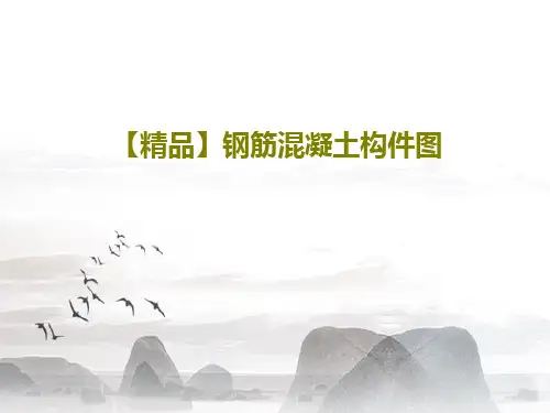 【精品】钢筋混凝土构件图共22页