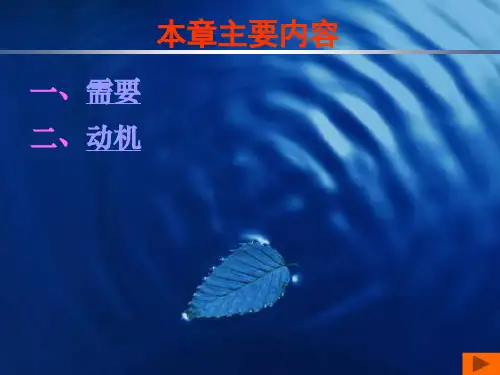 需要和动机ppt课件