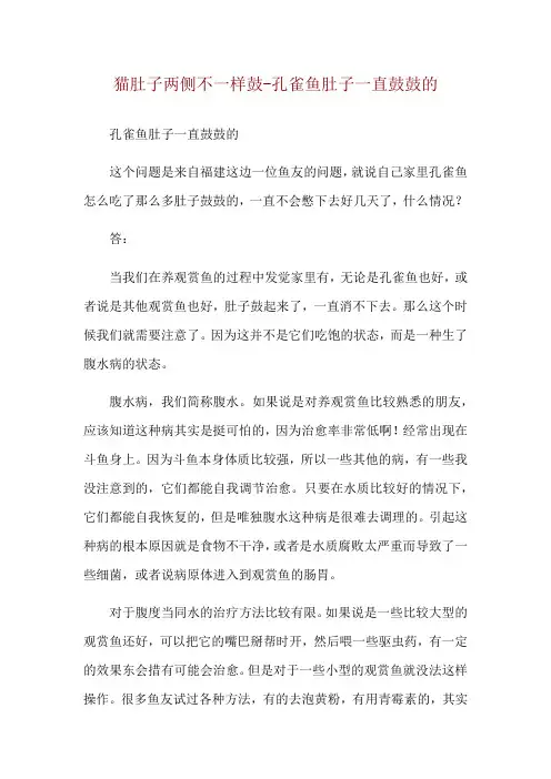 猫肚子两侧不一样鼓-孔雀鱼肚子一直鼓鼓的