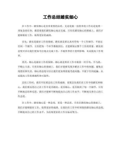 工作总结踏实细心