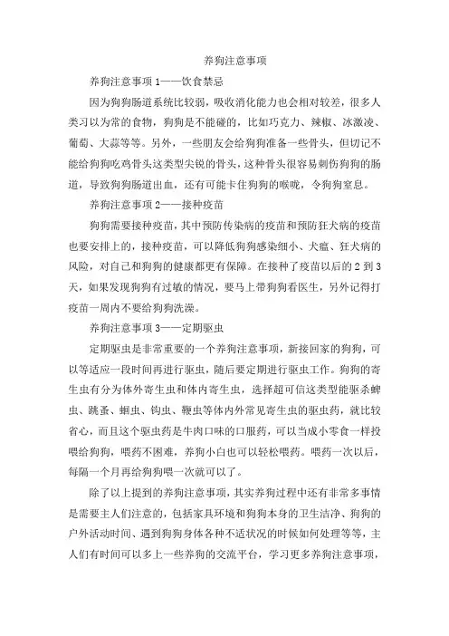 养狗注意事项
