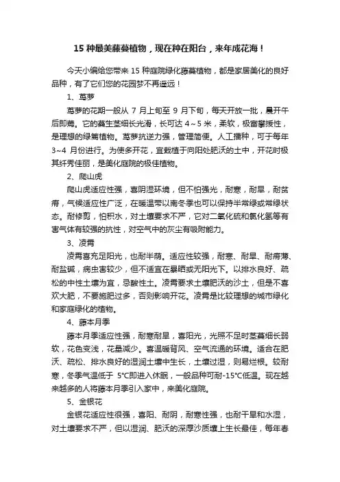 15种最美藤蔓植物，现在种在阳台，来年成花海！