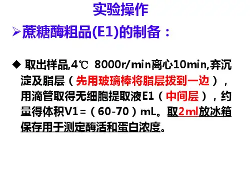 蔗糖酶的提取和纯化步骤