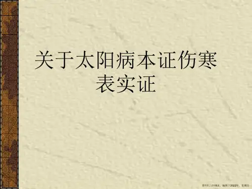 太阳病本证伤寒表实证