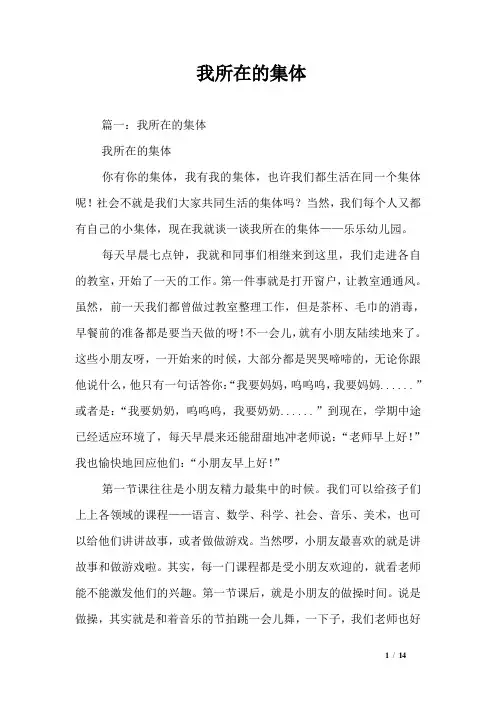 我所在的集体