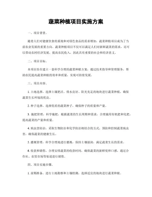 蔬菜种植项目实施方案
