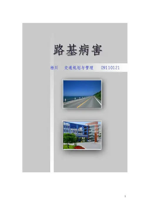 公路养护pdf版