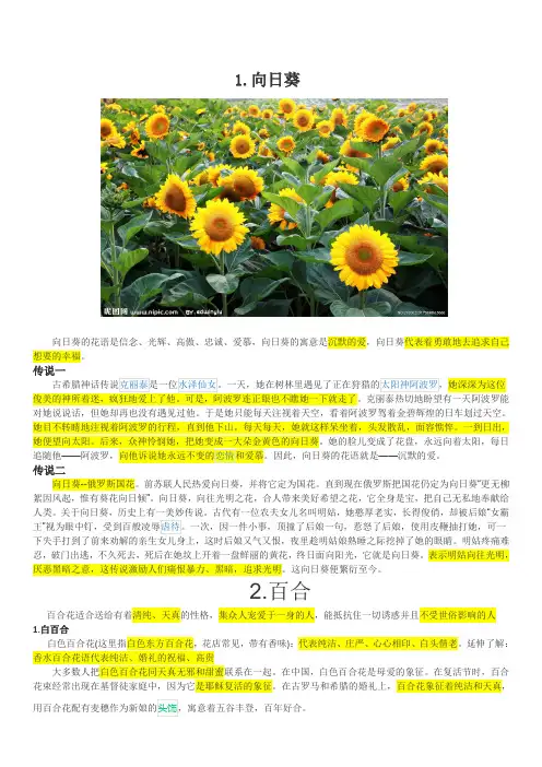 花知识,花语及传说