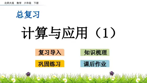 北师大版小学6年级数学下册总复习数与代数(计算与应用(1~3)+估算)PPT教学课件
