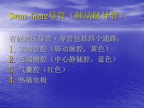 漂浮导管SwanGanz导管